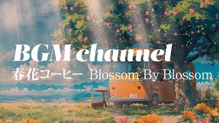 BGM channel - Blossom By Blossom (Official Music Video)