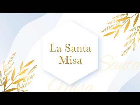 Santa Misa - Domingo XV del Tiempo Ordinario