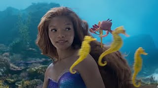 Ads video related
