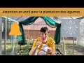 Attention en avril pour la plantation des lgumes