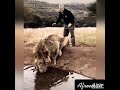 الشجاعة تتجسد في هذا الرجل 