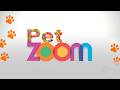 Pet Zoom | Moda artesanal pet de crochê. Um Gato gerente de livraria. Direitos familiar de pets