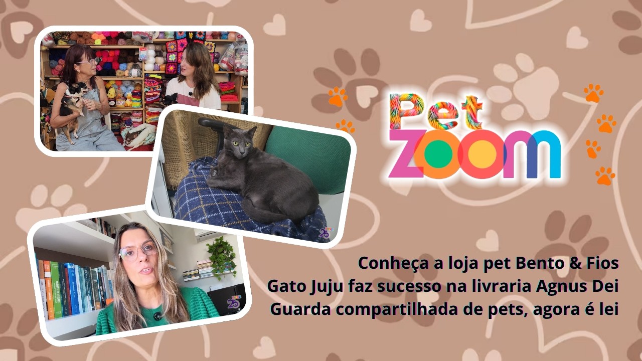 Pet Zoom | Moda artesanal pet de crochê. Um Gato gerente de livraria. Direitos familiar de pets