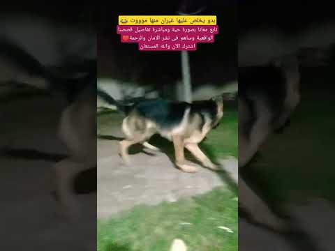 طول عمرك غدار يا خيري