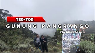 Tek-tok Gunung Pangrango via Cibodas