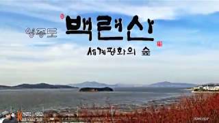 영종도 백련산의 고즈넉한 건강백년길을 걷다...(2019,1127)