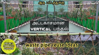 Amazing vertical பந்தல் 🎡 vertical garden ideas 💡 Easy vertical garden 🏕 terrace garden ideas  tamil