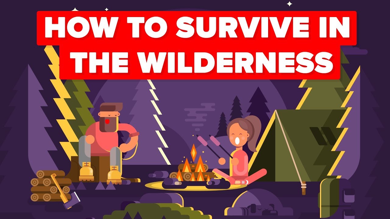 How to survive in the wilderness