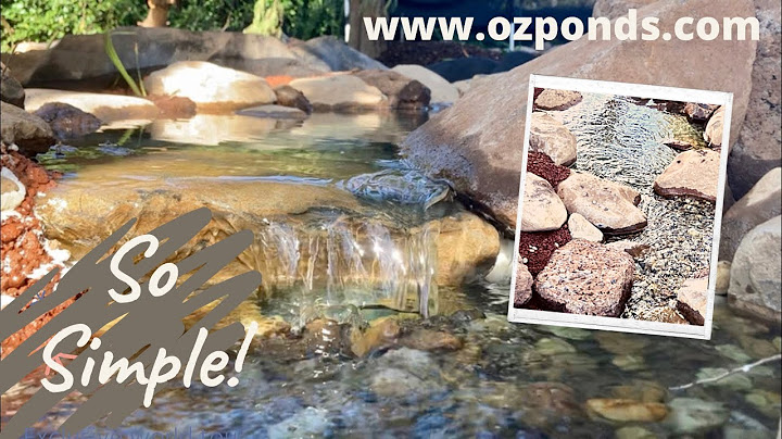 DIY Stream, Creek| Dream pond build