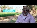 قصة نجاح - حين تعود الأرض للحياة