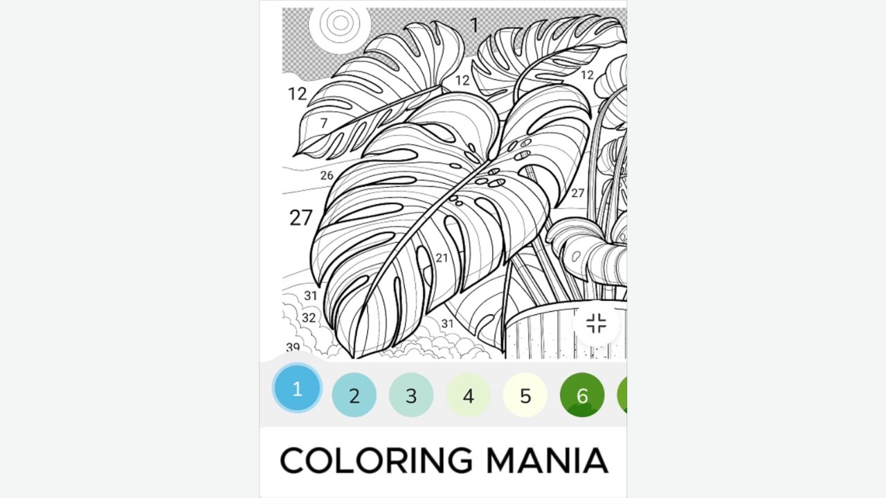 coloring large leaf ornamental plants monstera with relax #art #relaxing