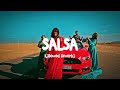 Salsa Slowed Reverb Ft Bohemia Akki Singh Sistrology Song