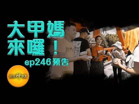 【大甲媽來了】一年一度大盛事，遶境美食不放過！| 寶島神很大 ep.246