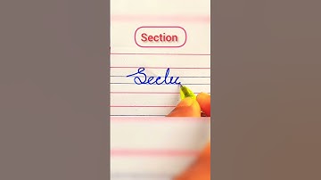 The word Section in cursive writing