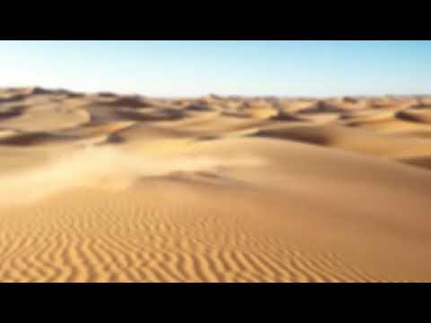 HABIBI   MAHER ZAIN FEAT ALAN WALKER