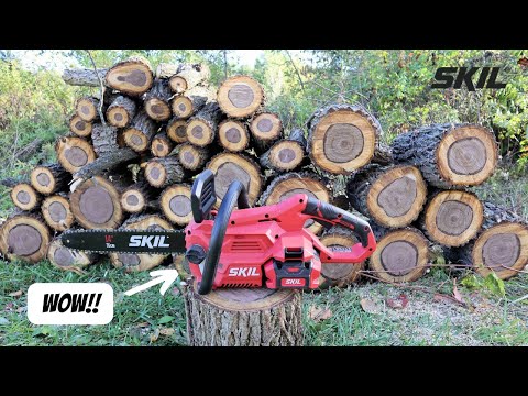 Best Cheap Battery Chainsaw Kit for $149 | SKIL PWR CORE 40 Brushless 40V 14” Chainsaw CS4555-10