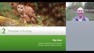 WHAT IS ECOLOGY? Principles of Ecology Lecture and Lesson Plan for Students and Teachers