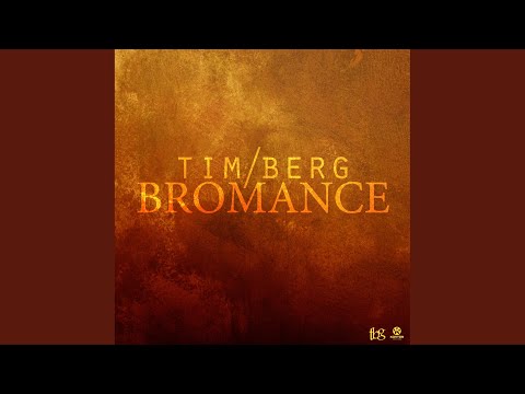 Bromance (Avicii's Radio