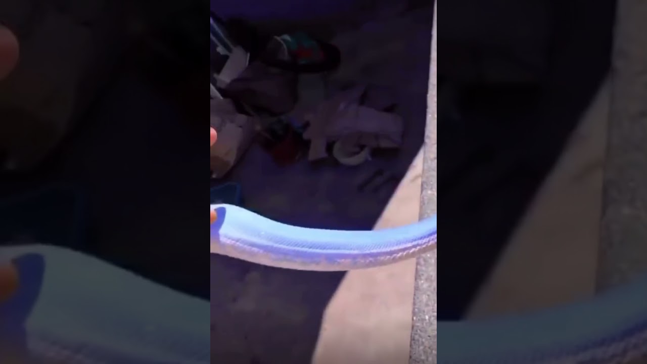 Синий змей 💙 Blue Snake