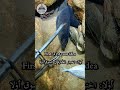ما هو فخ ريادة الأعمال؟
