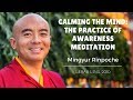 Mingyur Rinpoche ~ Calming the Mind: The Practice of Awareness Meditation
