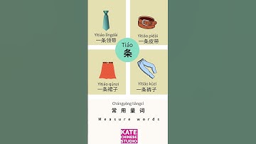 【Learning Chinese】Must learn Chinese Measure Words 3- 条｜Learning Chinese /Daily use Vocabulary #HSK2