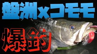 【釣】盤洲干潟でリベンジ釣行・ウェーディングシーバス・秋爆・ima komomoコモモで爆釣〈前編〉