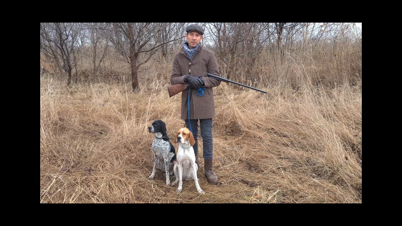 Мифы и легенды. Английский пойнтер