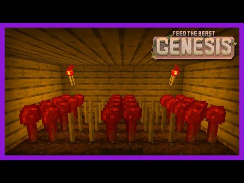 FTB Genesis | Redwheat & Ferry! | E04 | 1.19.2 FTB Modpack  @ectorvynk