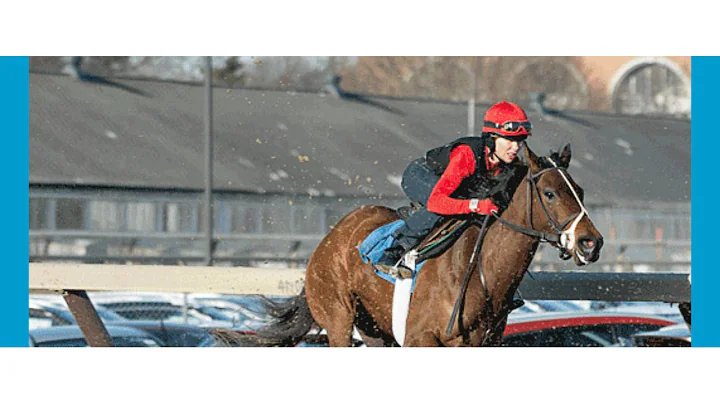 Thoroughbred Jockey Janice L. Blake Launches, "The...