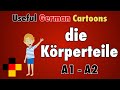 Learn Useful German: die Körperteile -  the body parts in German / Vocabulary for Beginners - A1, A2