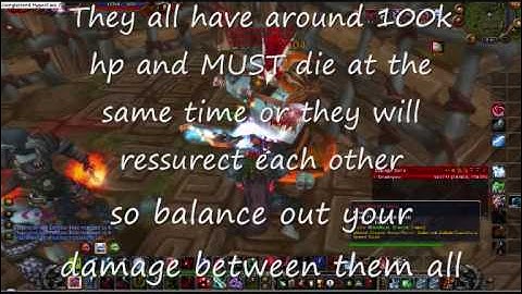 Soloing High Priest Thekal (tiger boss) in Zul