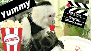 SO ADORABLE!!  Dinner And A Movie With Monkey Lillian 🍓 | Monkey Watches Her Video While Eating 😊