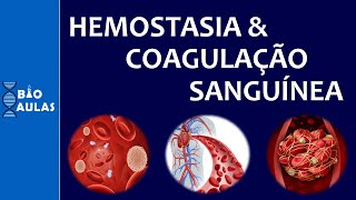 Hemostasia e Coagulação Sanguínea: Atuação das Plaquetas e a Cascata de Coagulação