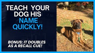 Play the Name Game with your Dog!