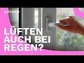 Lüften bei Regen: Wie sinnvoll ist das wirklich, um die Luftfeuchtigkeit zu senken