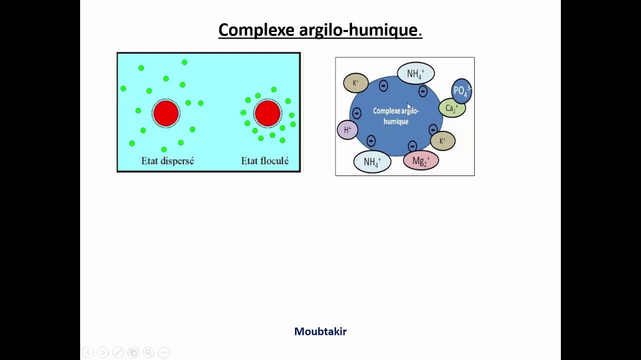 3 caractéristiques chimiques du sol