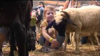 From Paddock To Plate