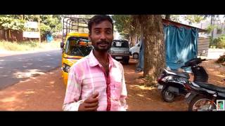 ELLIDDIRA YASH   SUPER SONG BY YASH FANS