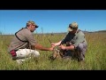 South Africa Plains Game Hunt
