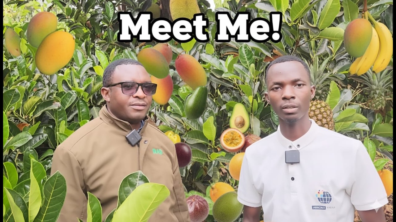 Meet Me: No Food Shortages and Drought in Kayonza after KIIWP Project