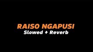RAISO NGAPUSI  -  Slowed   Reverb (Full Lirik)