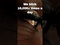 Blinking: Did you know? We blink more than 10,000 times a day! #Science #ScienceFacts #STEM #gk