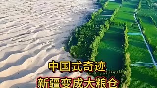 A true miracle! Desert transformed into a granary, China's food security is now secure. #Xinjiang...