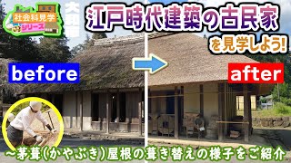 江戸時代建築の古民家を見学しよう茅葺かやぶき屋根の葺き替えの様子をご紹介します【やまとの社会科見学】郷土民家園　大和市