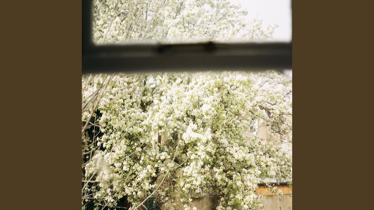 Guarda Endless su YouTube Guarda Endless su YouTube