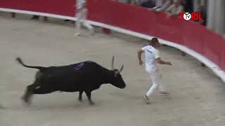 LUNEL (29/05/2023) - Le résumé de la course camarguaise - Trophée Patrick Castro