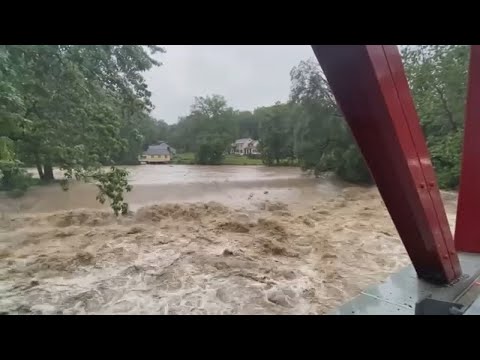 1 woman killed