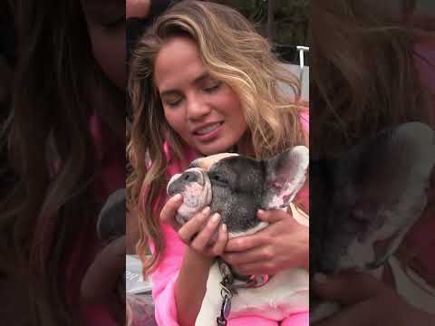 Chrissy Teigen loves dogs #doglover #dogs #frenchbulldog