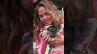 Chrissy Teigen loves dogs #doglover #dogs #frenchbulldog